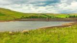 Reservoir